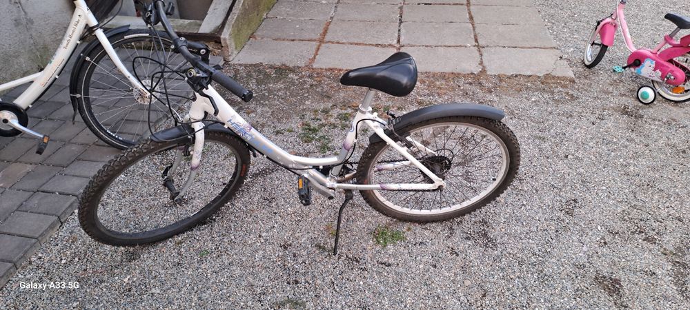 Bicicleta  dama  detali la tel