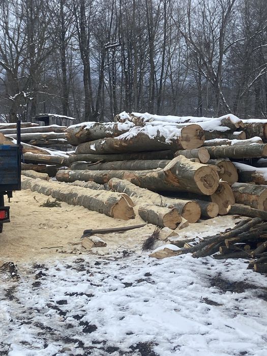 Lemne de foc  de vanzare