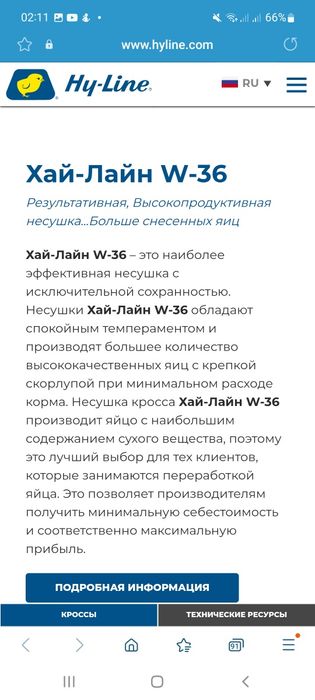Хаммаси 100 % товук чикади. Сертухум Хай-лайн ва Ломан Сенди жужалари
