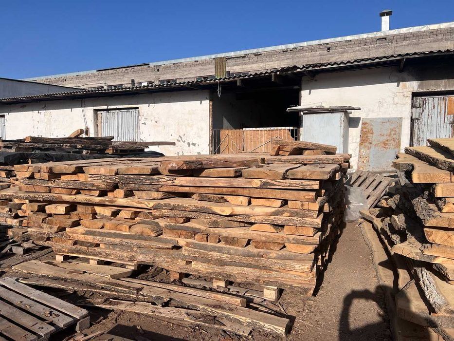 Quritilgan yasin yog'ochi