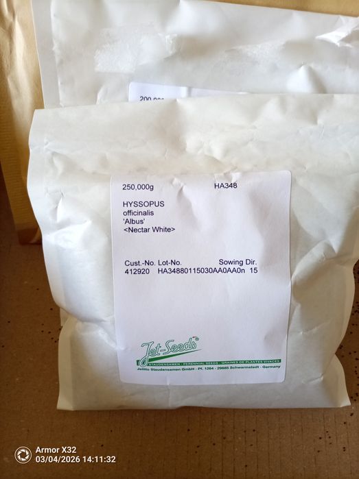 Продавам семена на бял равнец, бял хизоп и  мащерка