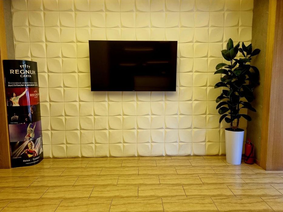 Офисные растения цветы. Оформление офисов, гостиниц цветами.