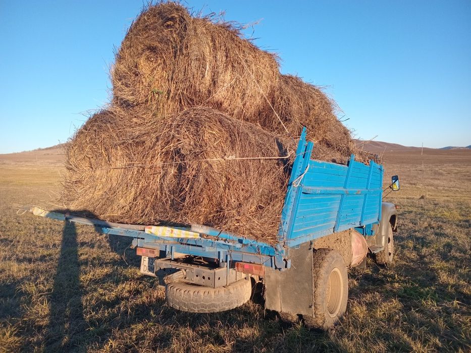 Продам сено, урожай 2025 г