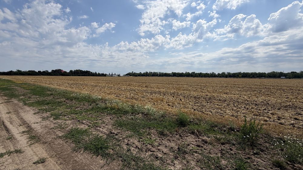 VÂND TEREN Intravilan Agricol 2 Hectare