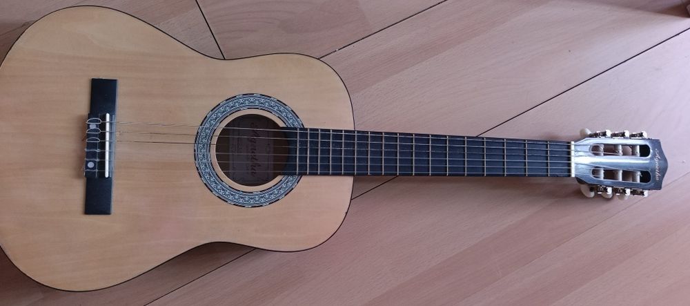 Гитара Agnetha APS E-40