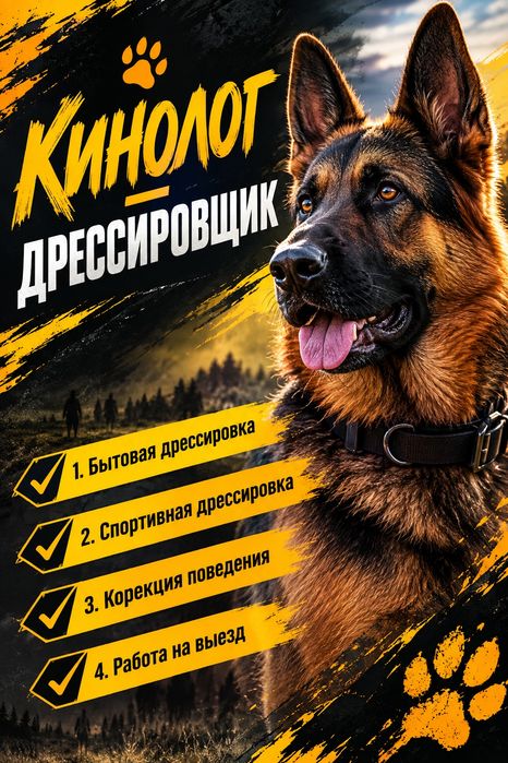 Кинолог дрессировщик