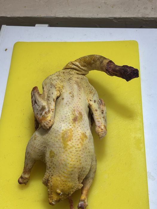 Продам домашних  гусей