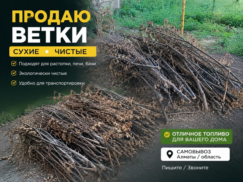 Ветки дуба срочно