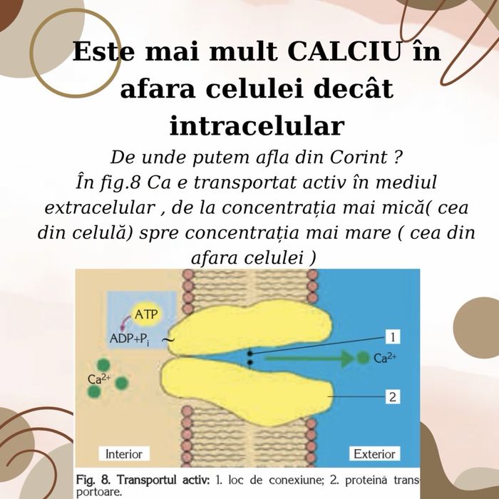 Meditații biologie - admitere și BAC