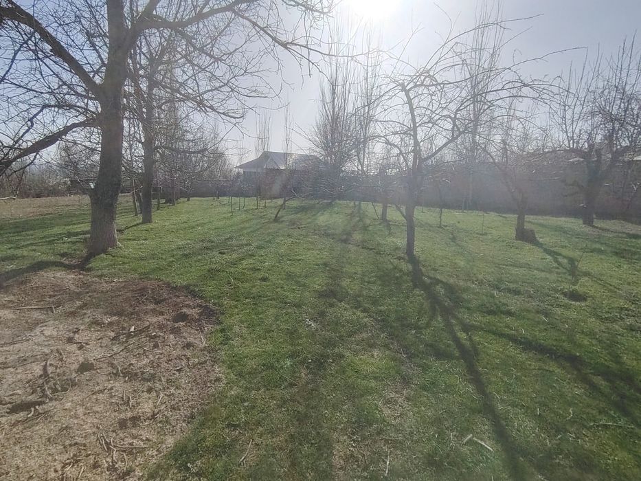 Yer sotiladi Oq towdan