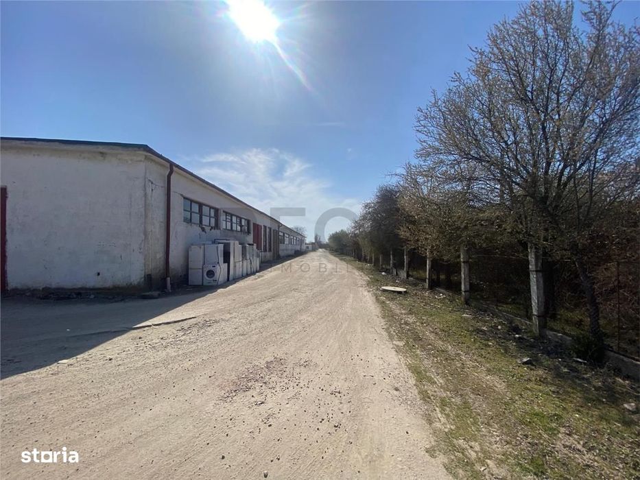 RECO hale cu teren generos Salonta