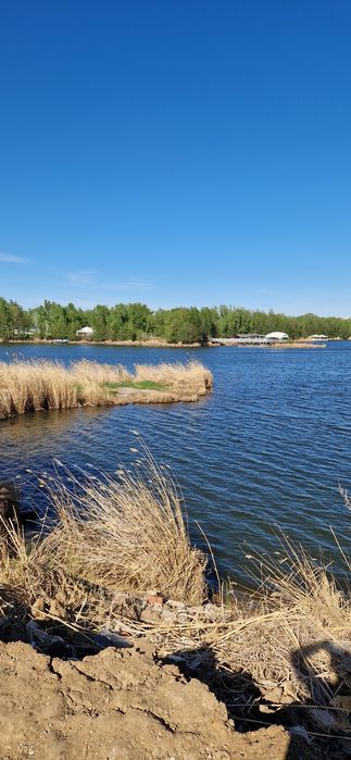 Продам дачный участок