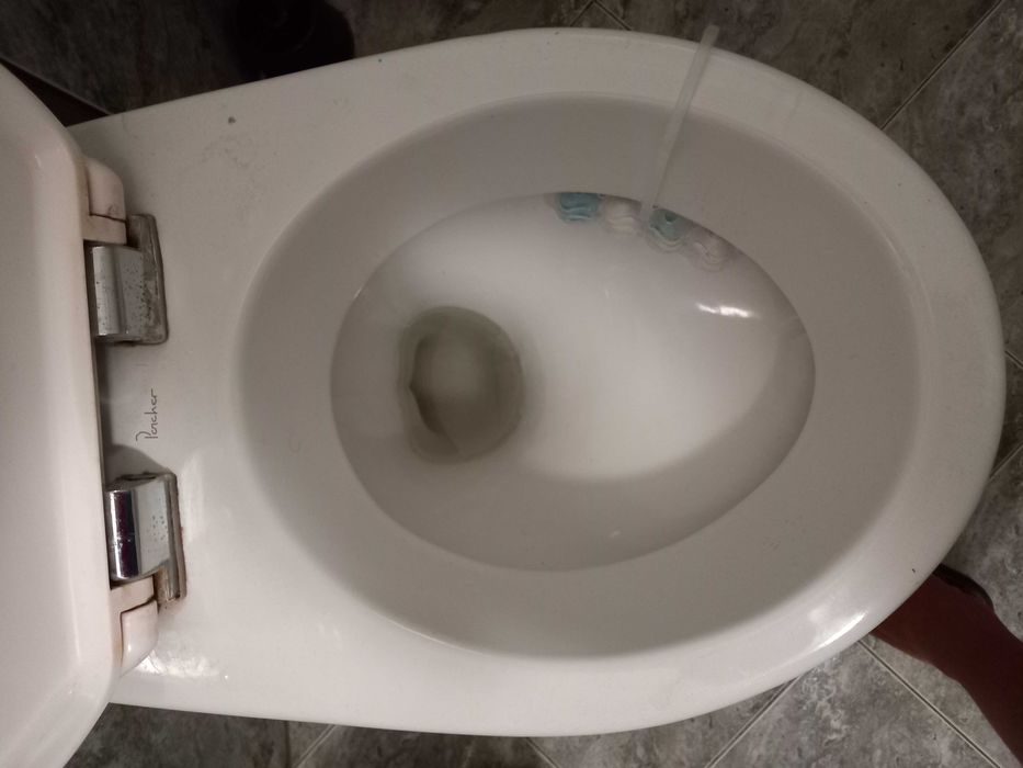 Тоалетна чиния с капак
