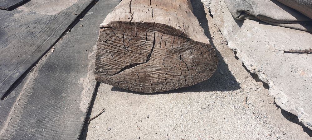 Томар агаш[ет шабуга; керек жаракка)