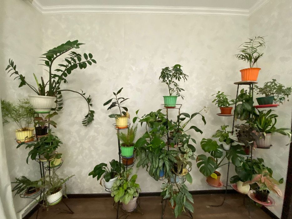 Цветы с подставкой