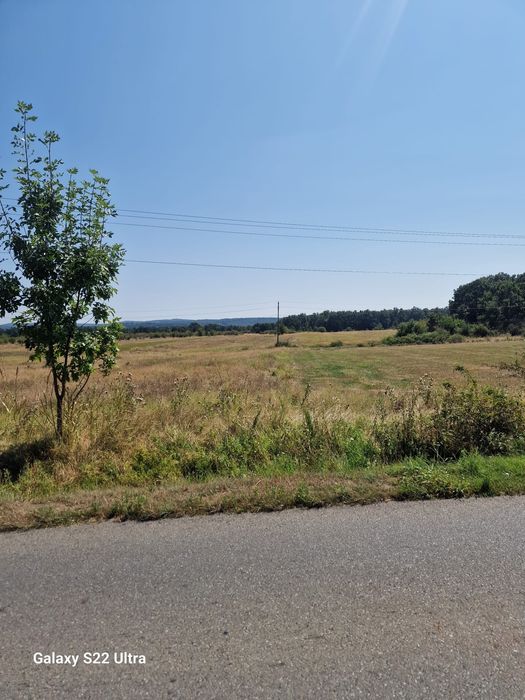 Teren în Târgu-Cărbunești - 12500 mp - 10€/mp