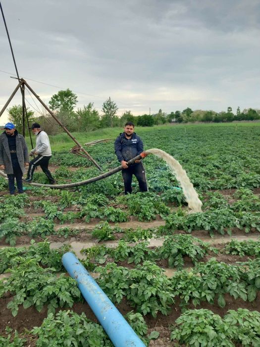 Execut puțuri forate pvc adamciri apa