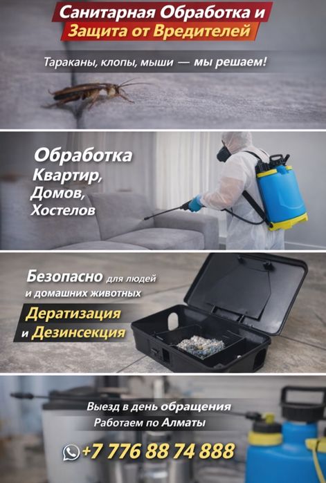 Санитарная обработка и уничтожение насекомых