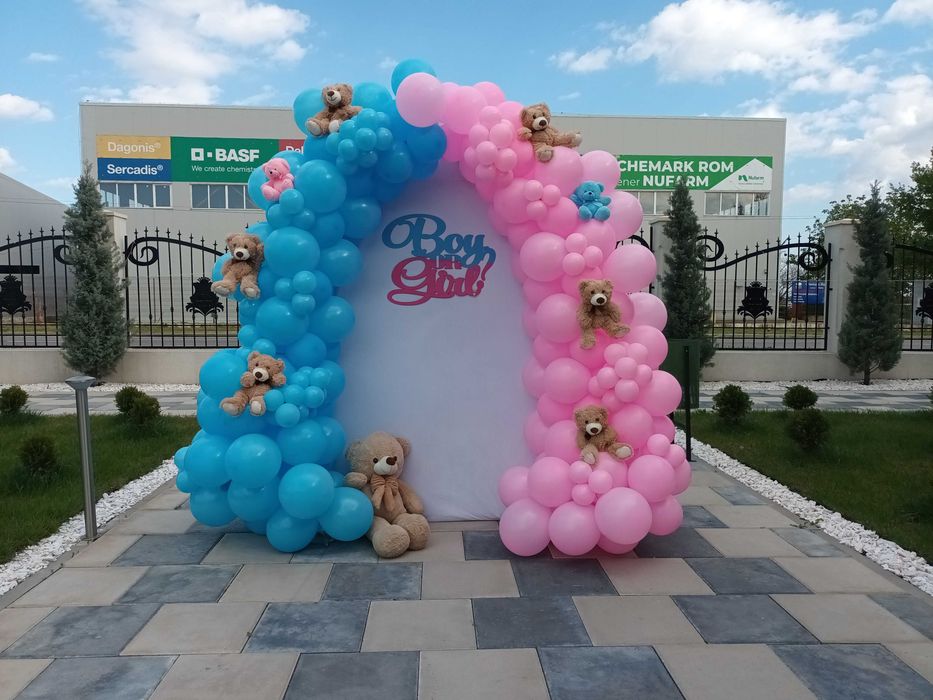 Arcada baloane aniversare Aranjamente baloane majorat/botez/zi nastere Decor baloane Panou foto Photocorner gender reveal