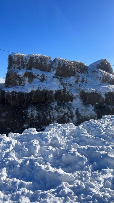 Сено , Шоп , Шөп