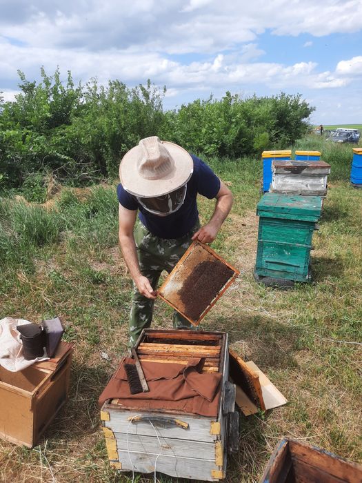 Продам мёд со своей пасеки