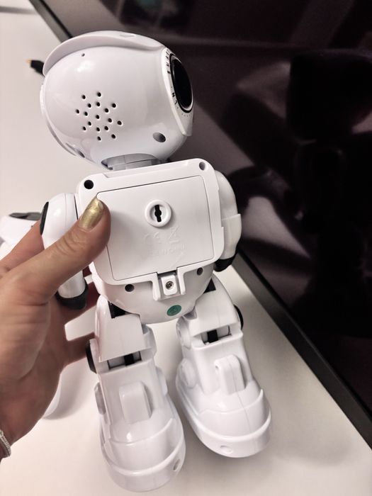 Jucarie “smart robot”