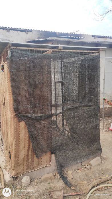 Tovuq katak sotiladi