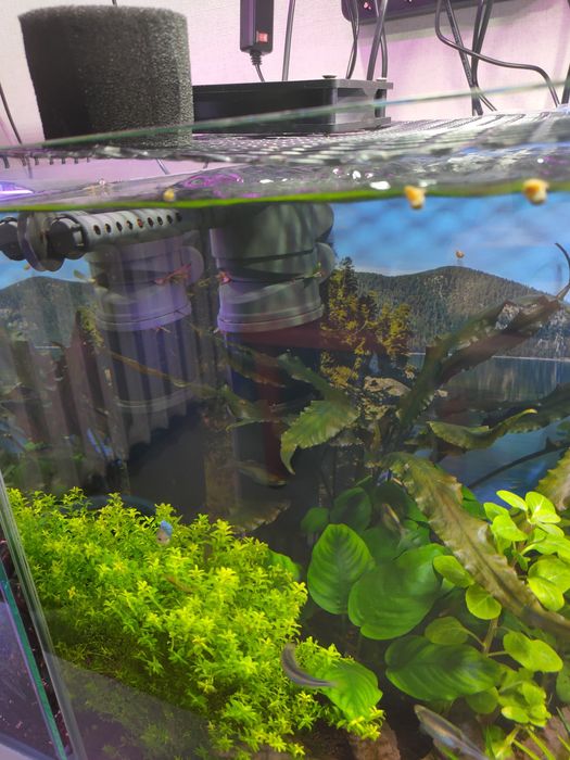 Аквариум AQUAEL 105 л.