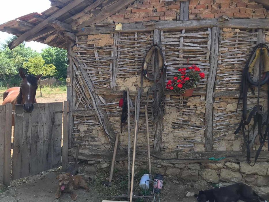 Продава се Къща в с. Кара Михал, Област Разград - 70 кв.м за 365 €/кв.м - Снимка #2