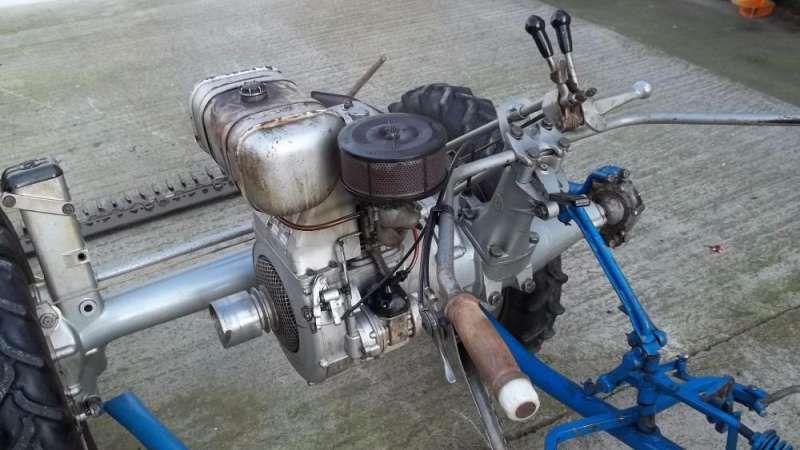 бцс - АКМЕ 1- ITALIA