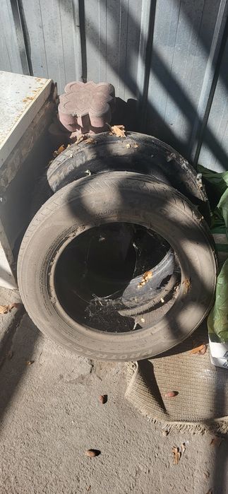 Шины лето вроде живой на запаску