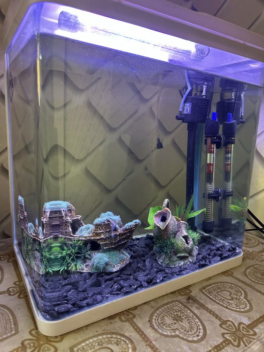 Akvarium 30 litr hamma narsasi bilan