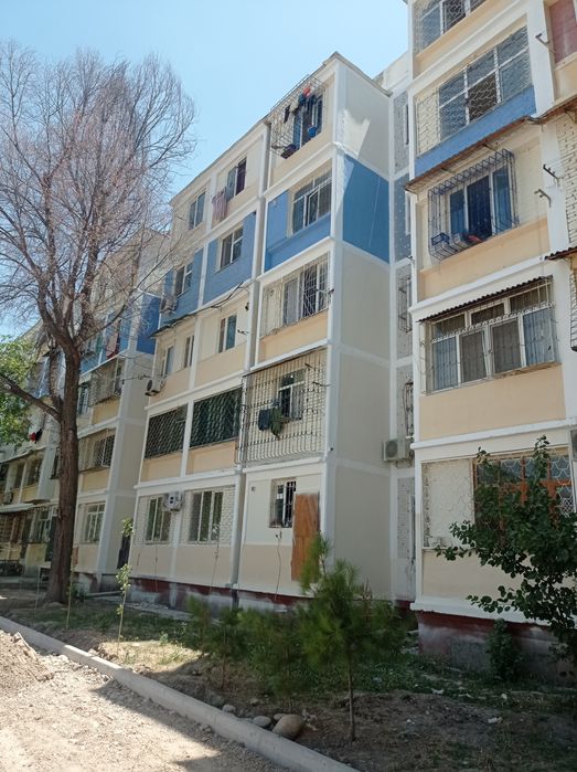 ALPINIST XIZMATI barcha turdagi (Альпинисты)