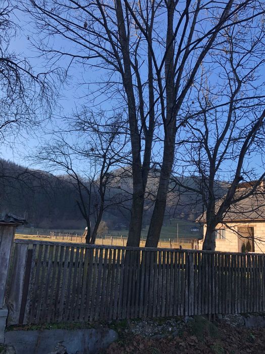 De Vanzare Extra Vilan 3000mp. Livada cu acces din strada,Gradina