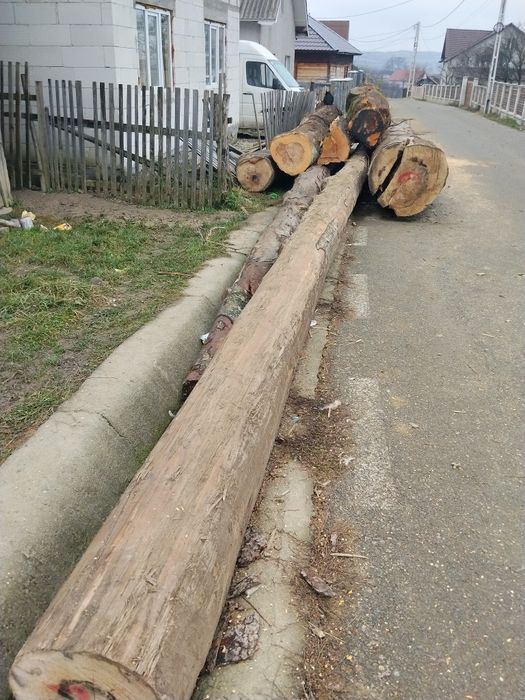 Vind lemne de foc esență tare fag