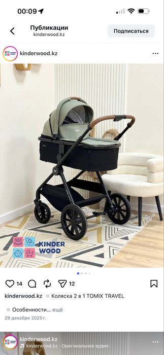 2в1 коляска Tomix Travel