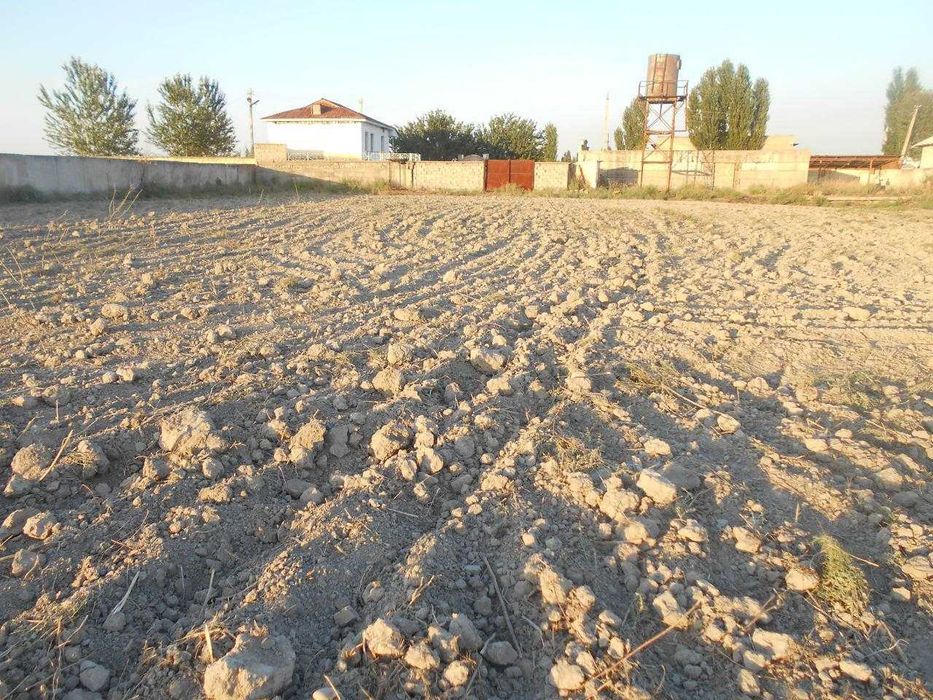 Уй сотилади Тош вил Куйи Чирчик тумани Дустобод  63 сотка