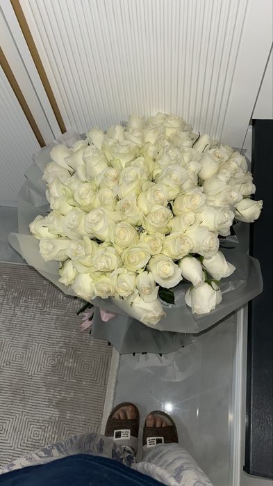 Свежый гул бугинги