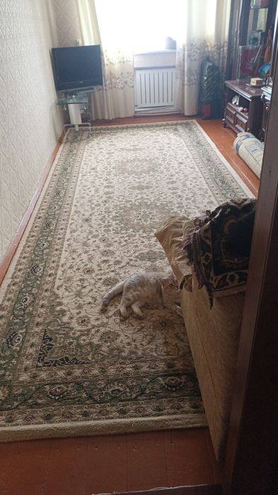 Ковер шерстяной Иран 2/5