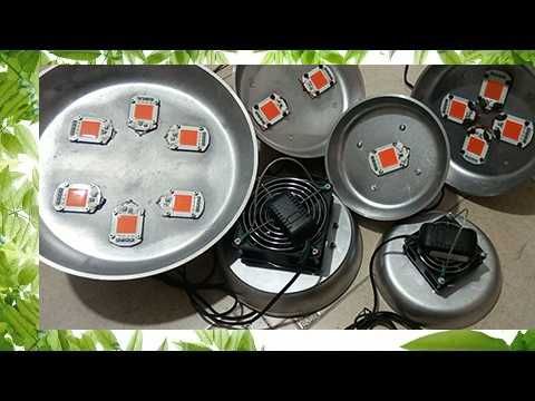 для комнатных растений и рассады ФИТО-ЛАМПЫ линейные и фито-лампочки