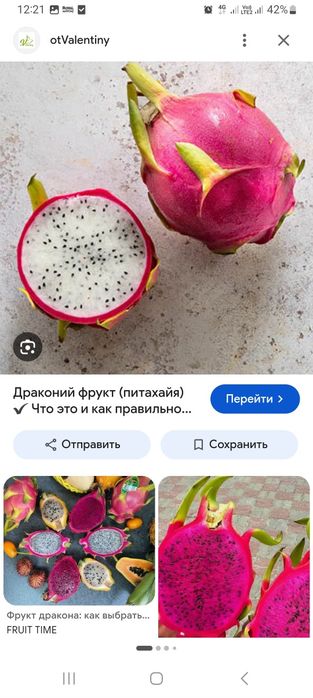 Питахайя(ростки)