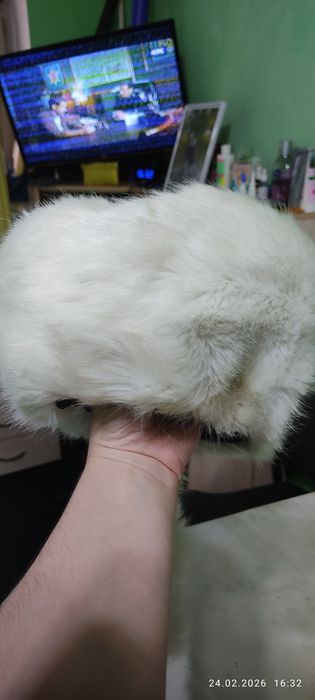 Продам женскую шапку