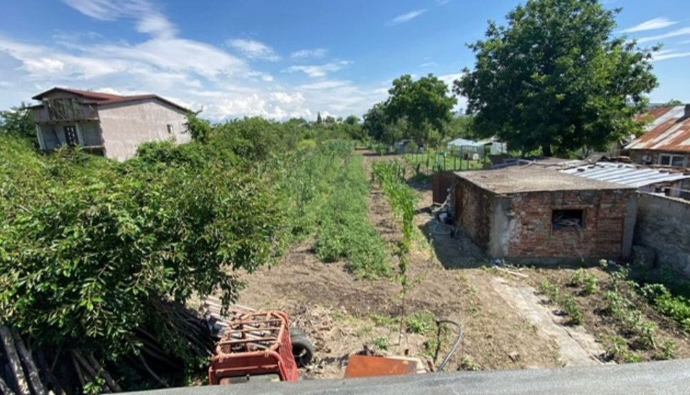 Vila de vis cu grădină