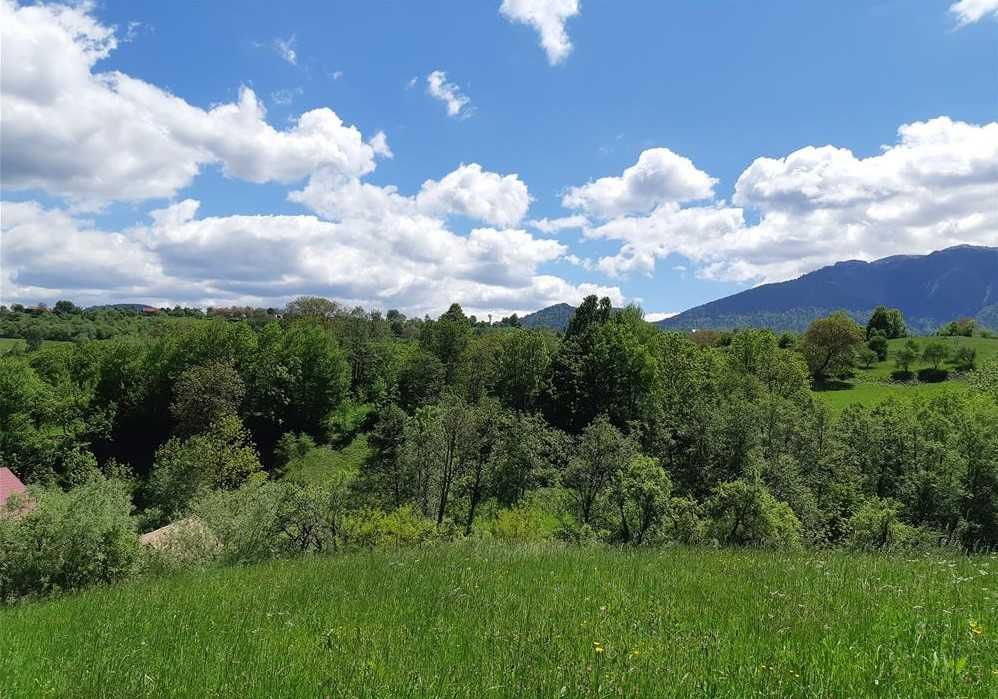 BRAN-teren intravilan