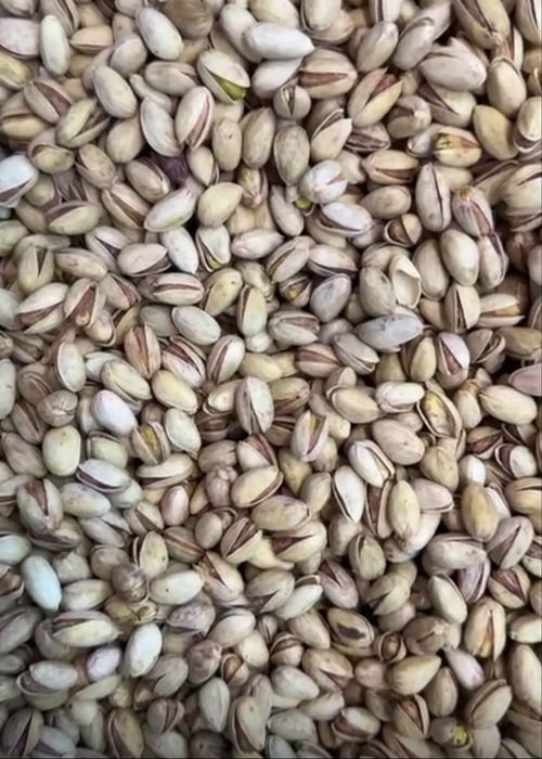 ФИСТАШКИ высшее оптом от 10кг 6500