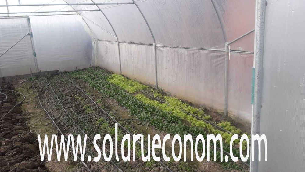 Solar (sera) pentru cultivarea de rosii, castraveti, ardei etc.