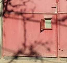 Poarta casa pentru curte