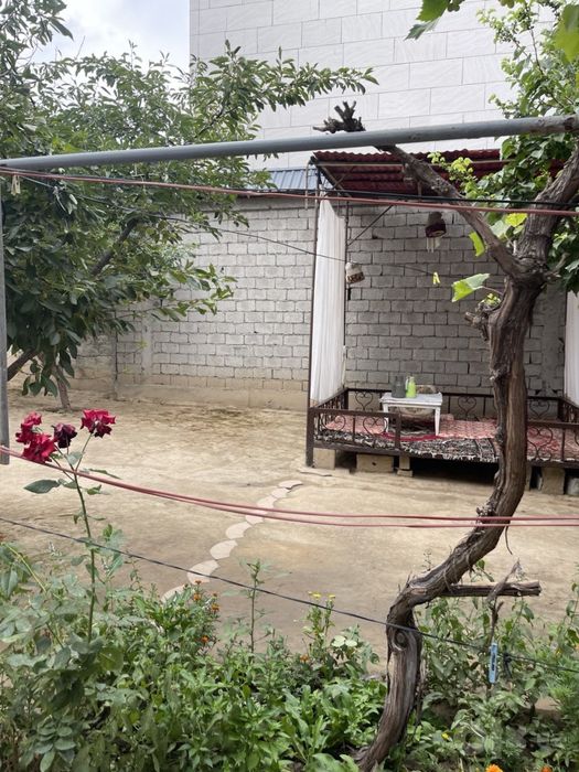 Xovli sotiladi fayizli uy 3,5 sotix