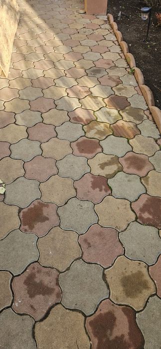 Pavaj rezidential Elis Pavaje, Floare , 240 x 240 x 40 mm