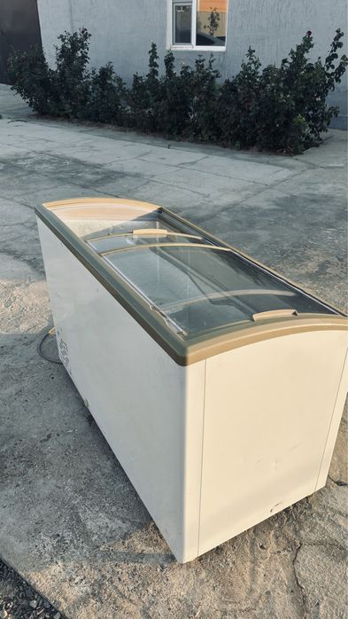 Моразильник